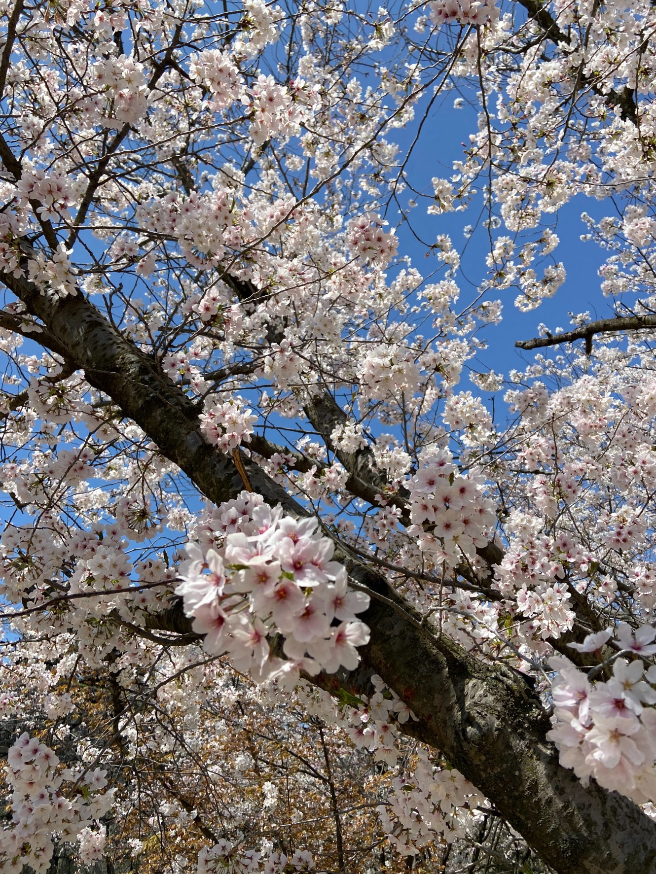 20代の「美の貯金」が40代で花開く。あの時やってて良かったと思える最強の美肌成分。