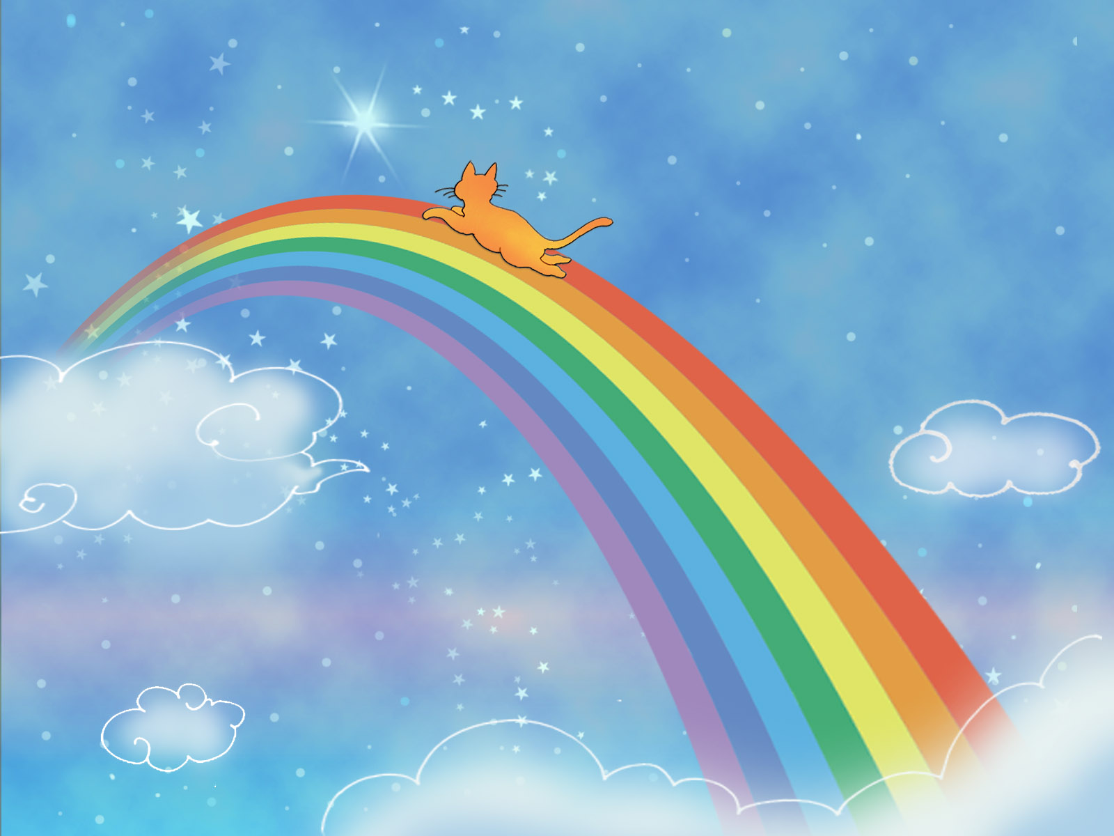 17年の癒しをありがとう。発作で息を引き取った愛猫の葬儀